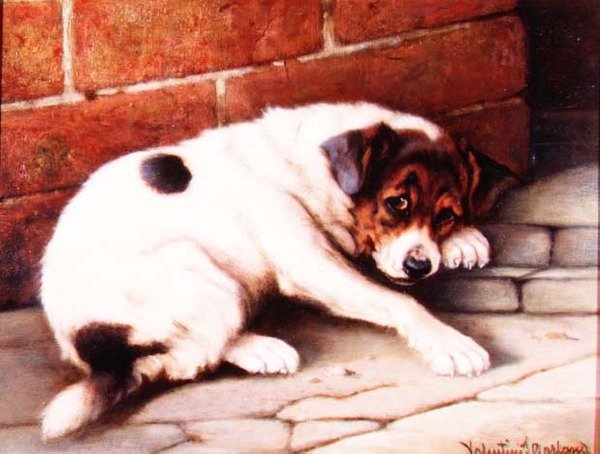 Un buon compagno da Valentine Thomas Garland