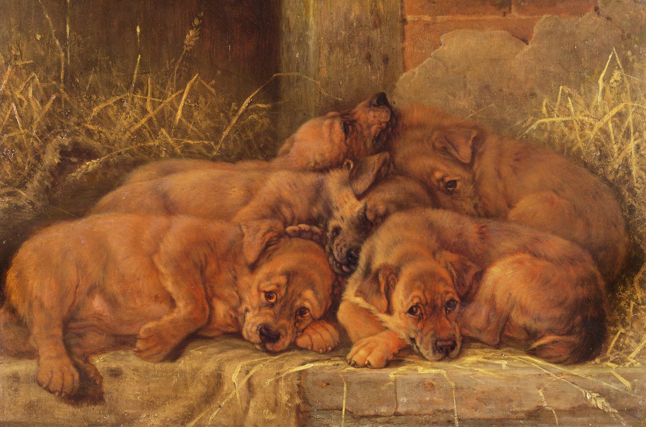 Amore cucciolo da Valentine Thomas Garland