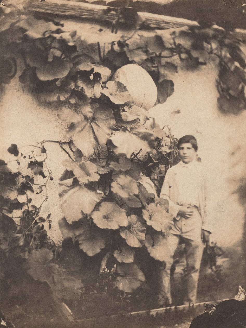 Ragazzo con una vite di zucca da Varin Frères