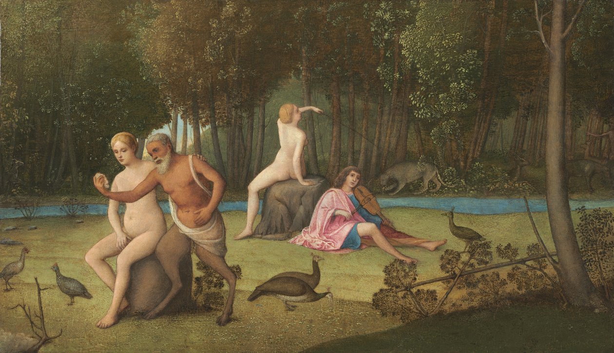 Orfeo, c.1515 da Venetian School