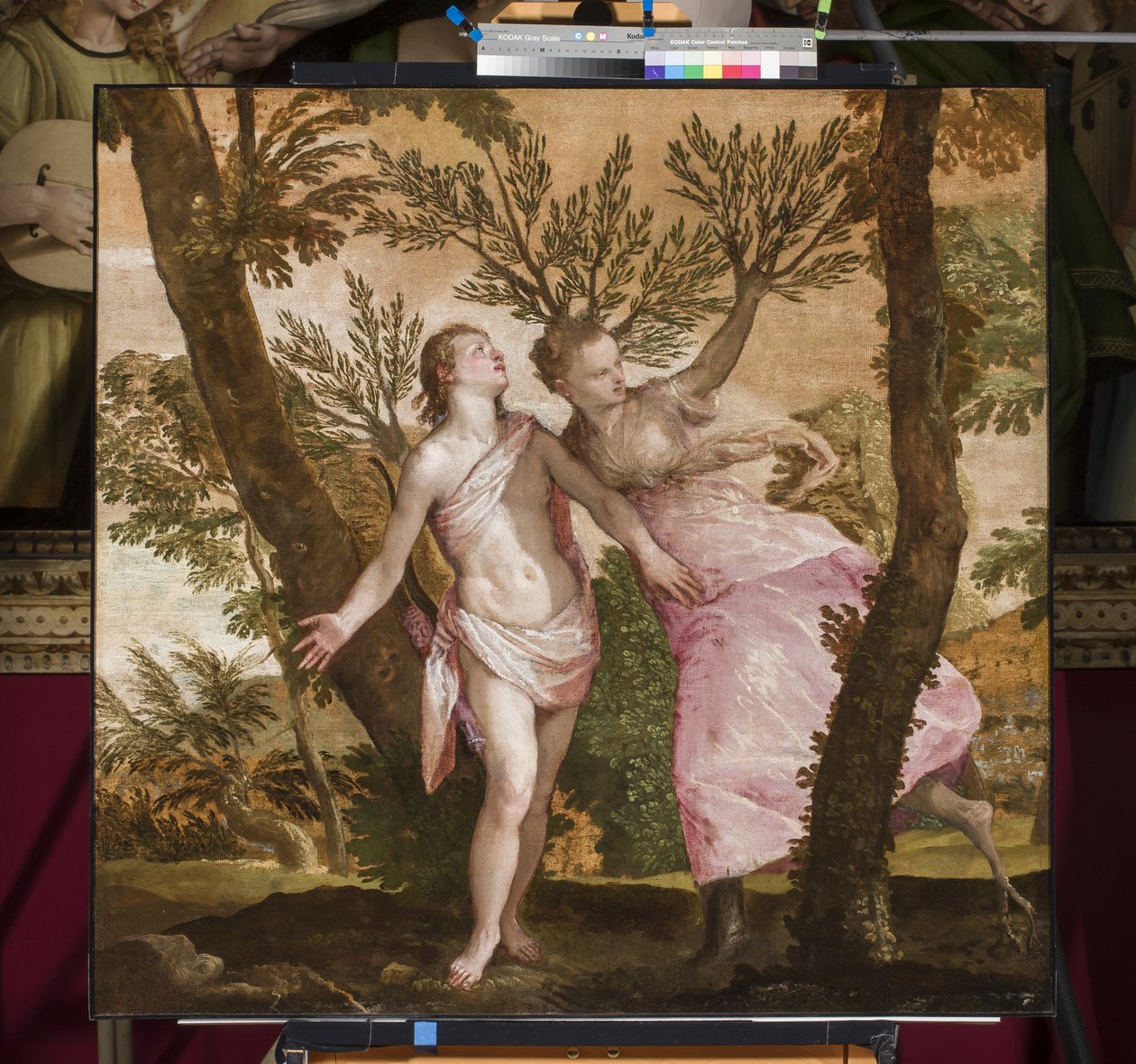 Apollo e Dafne, c.1560-65 da Paolo Veronese