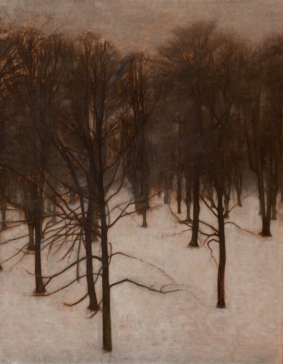 Parco Søndermarken in inverno da Vilhelm Hammershøi