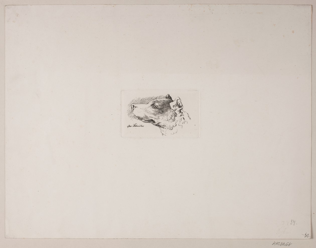 Testa di cane da Vilhelm Kyhn