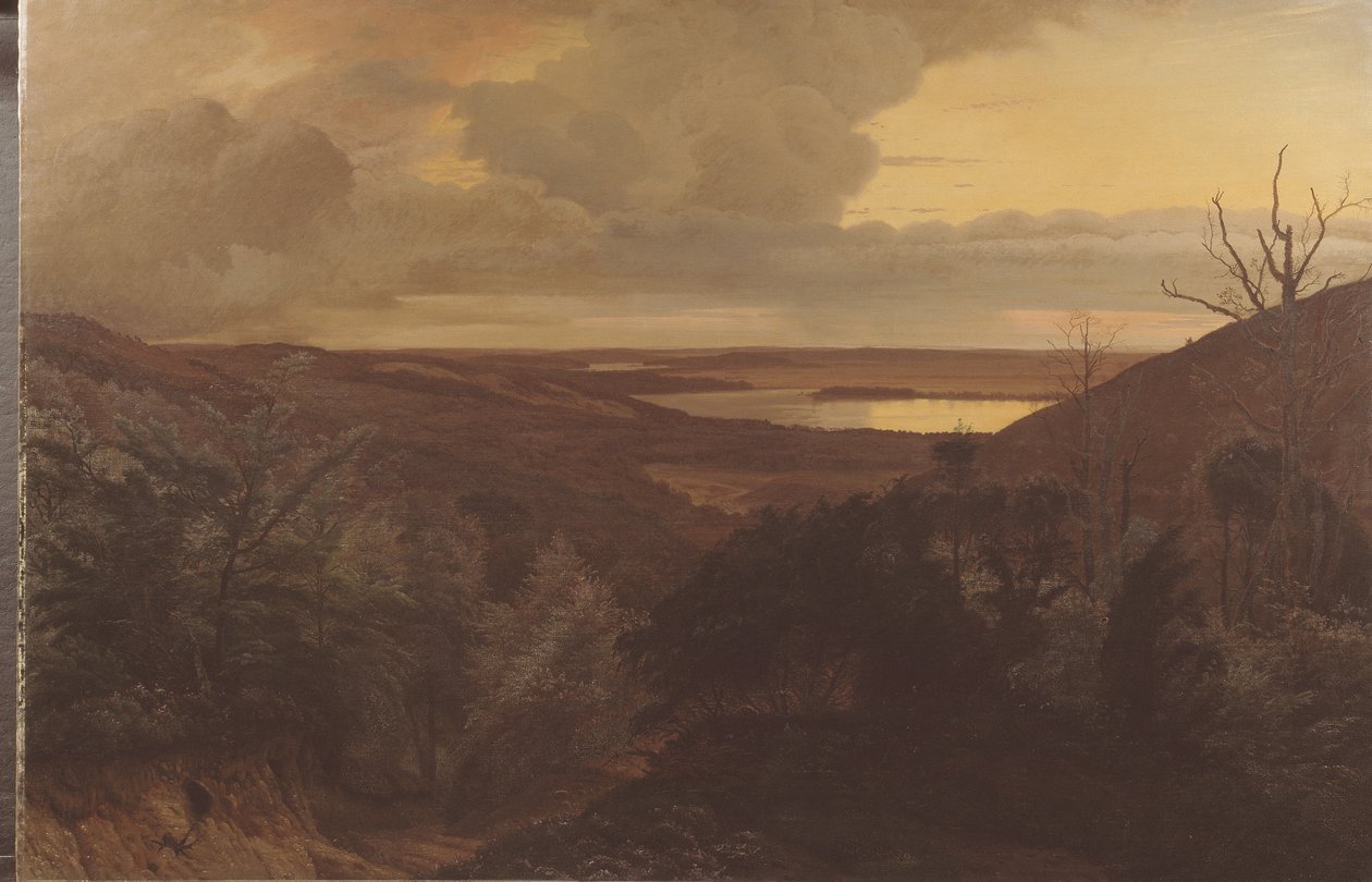 Tarda sera vicino a Himmelbjerget, Jutland da Vilhelm Kyhn