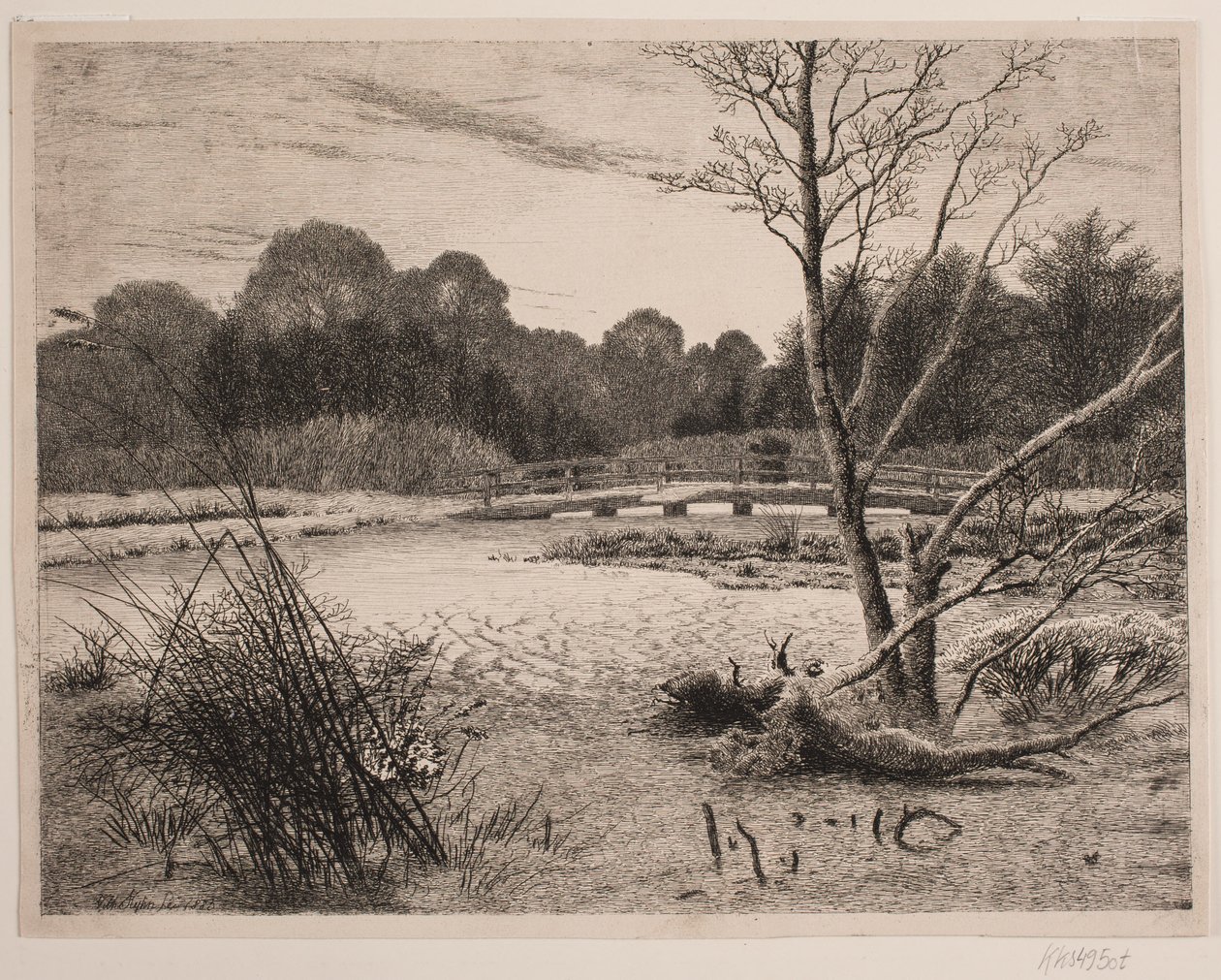 Tramonto in un bosco da Vilhelm Kyhn