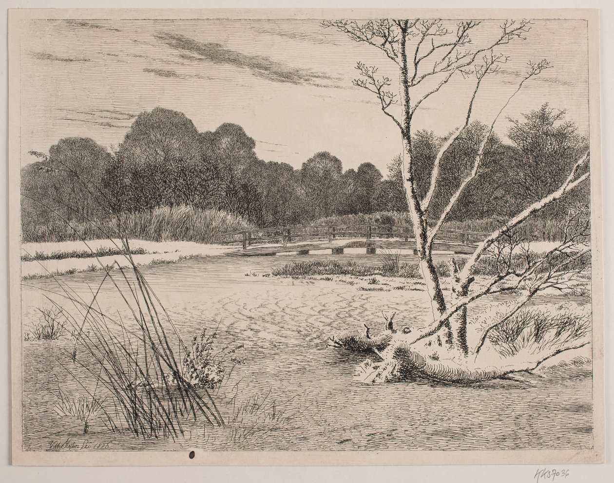 Tramonto in una foresta da Vilhelm Kyhn