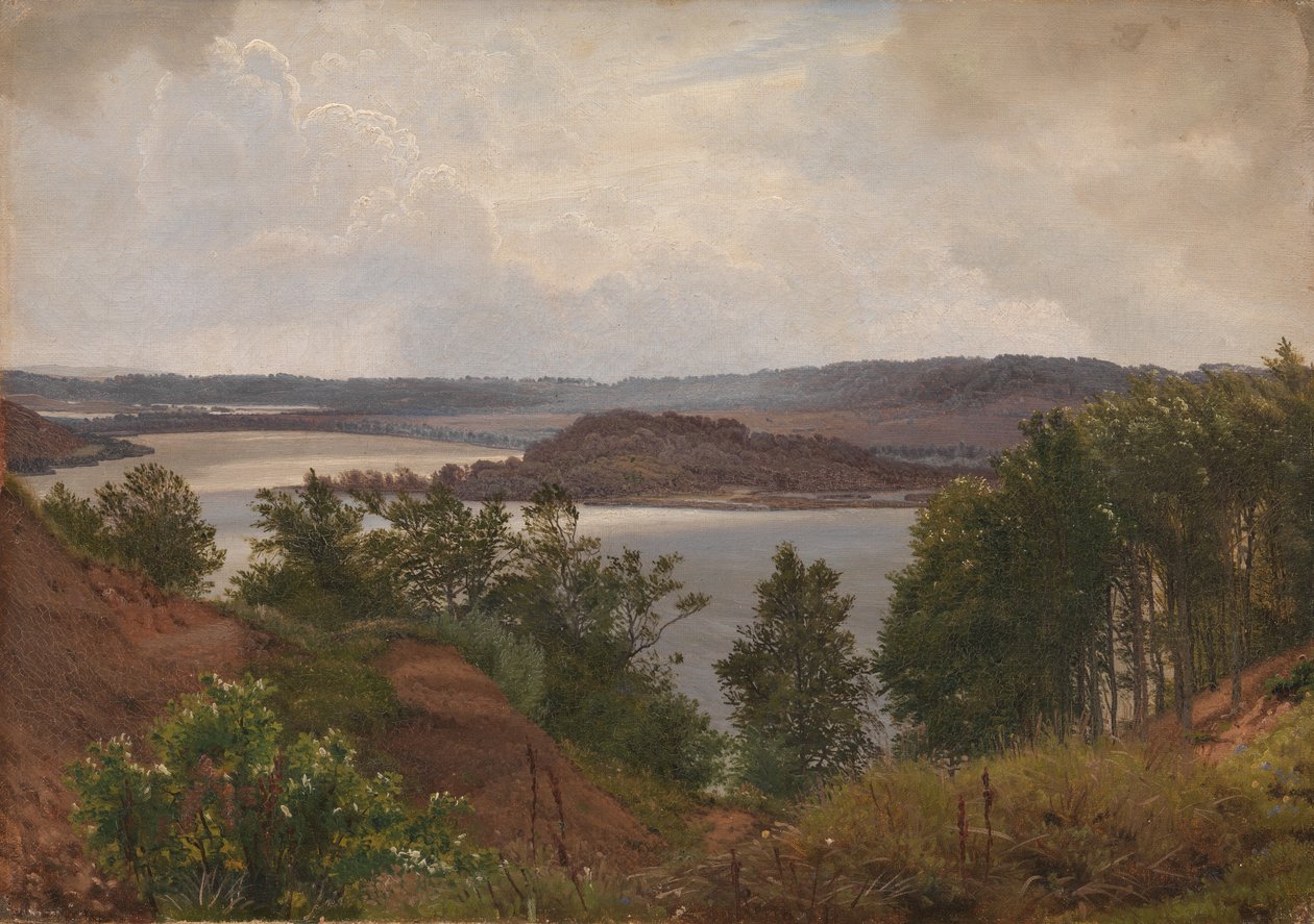 I laghi a Laven vicino a Silkeborg da Vilhelm Kyhn