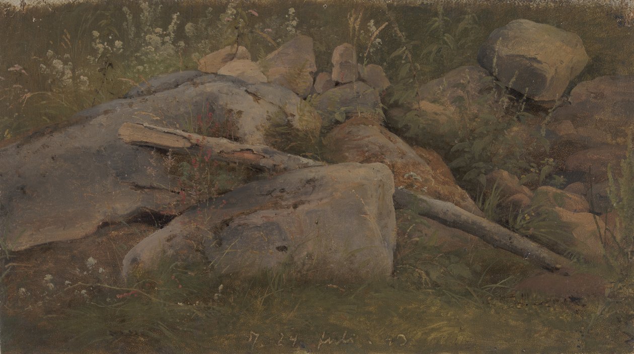 Studio di un mucchio di pietre da Vilhelm Petersen
