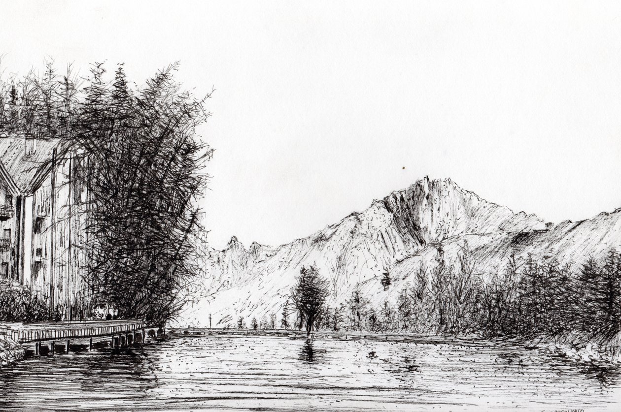 Crans, Svizzera, 2009 da Vincent Alexander Booth