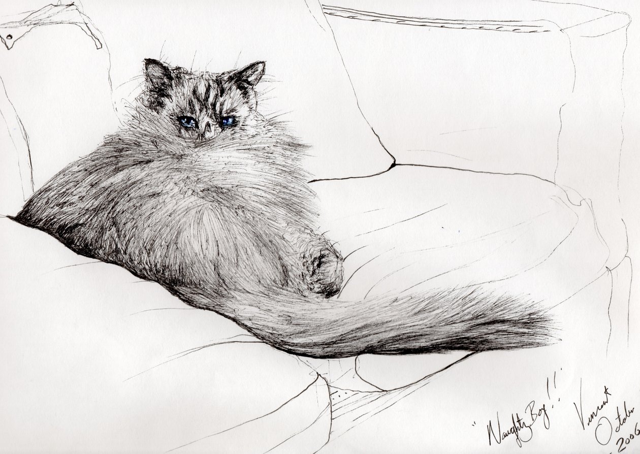 ragazzo cattivo!, 2006 da Vincent Alexander Booth