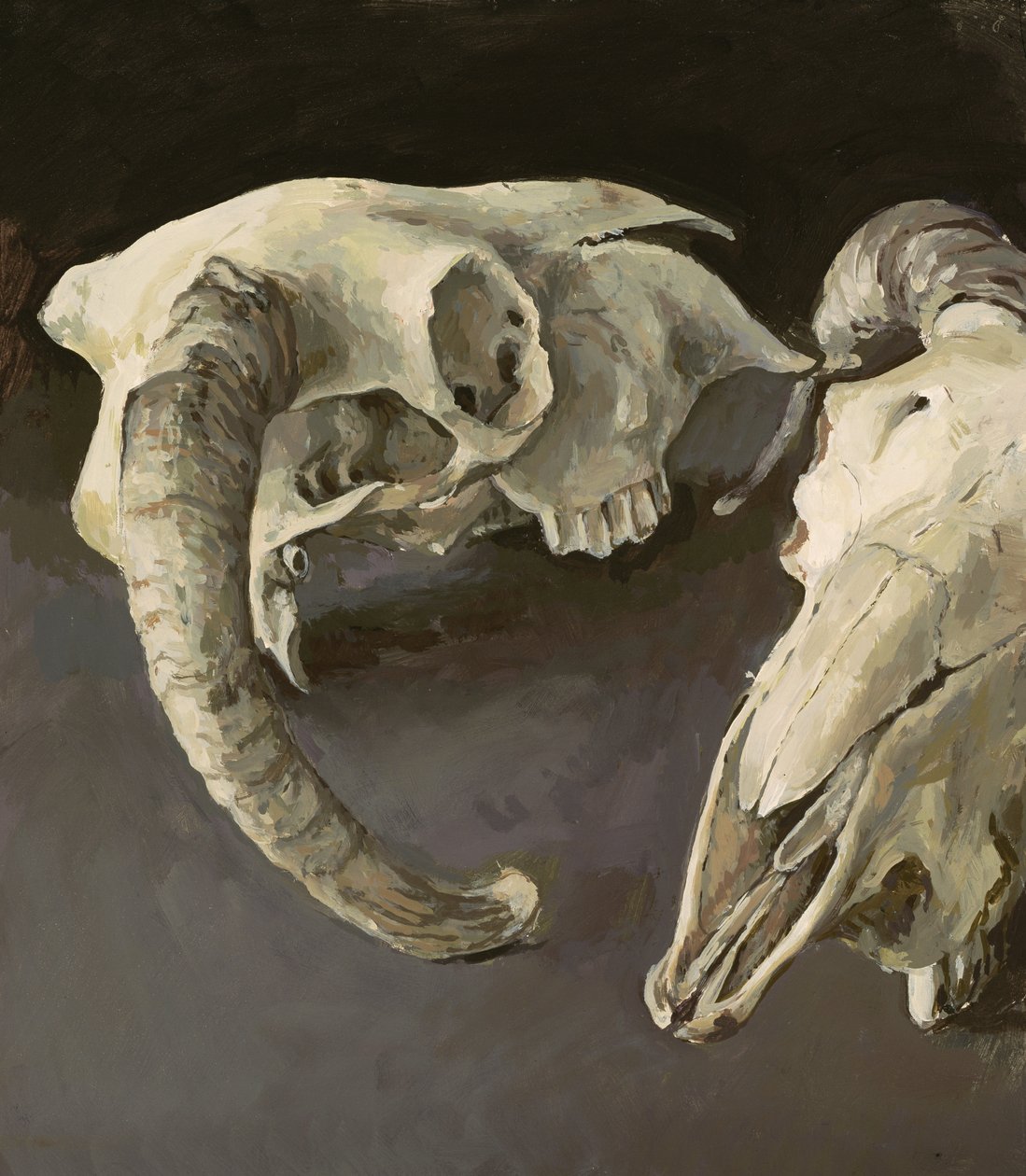 Teschi di pecora, 2001 da Vincent Yorke