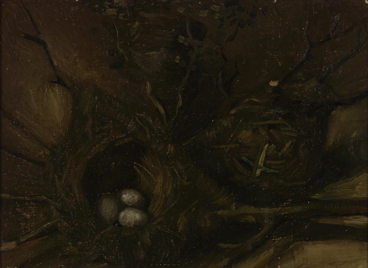 Nidi di uccelli da Vincent van Gogh