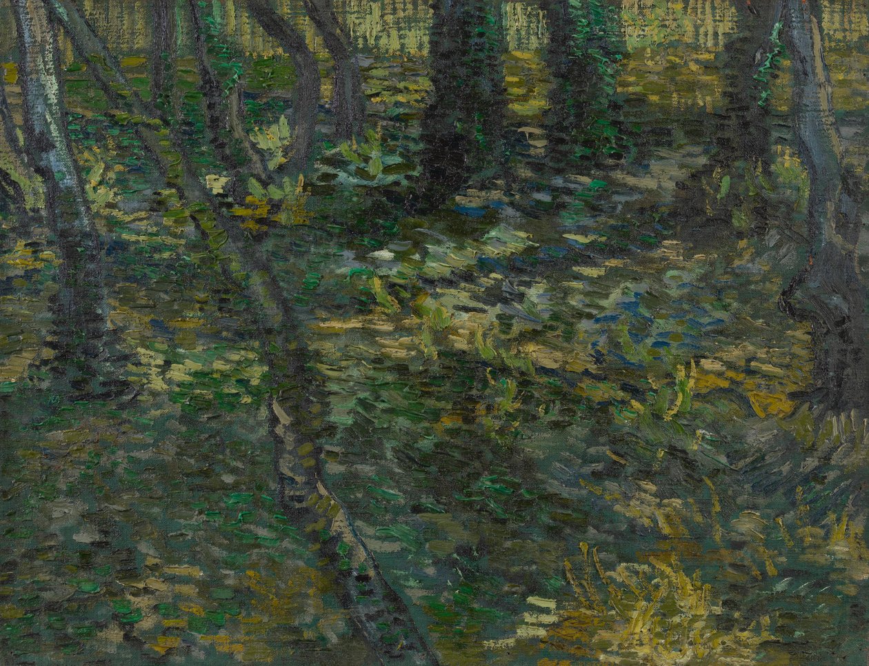 Sottobosco da Vincent van Gogh