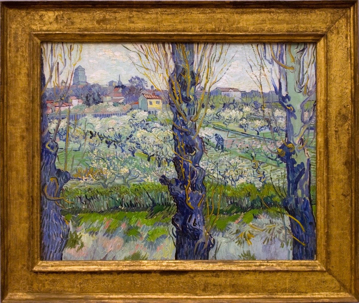 Veduta di Arles da Vincent van Gogh