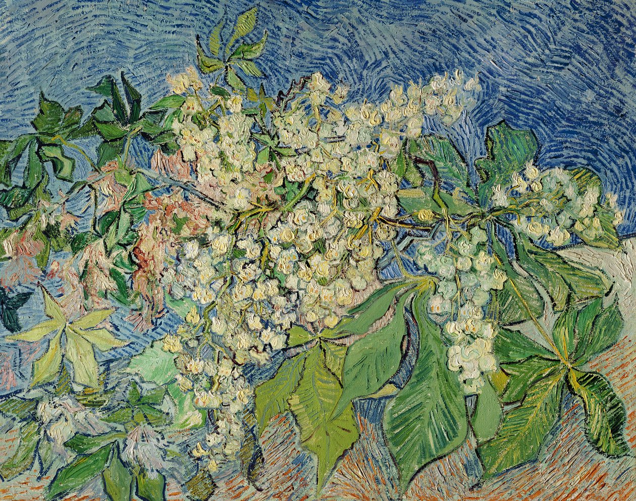 Ramo di castagno in fiore, 1890 da Vincent van Gogh