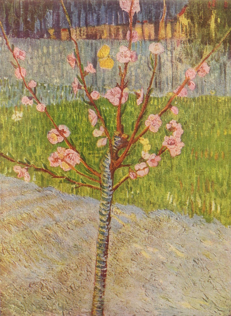 Boulevard de Clichy da Vincent van Gogh
