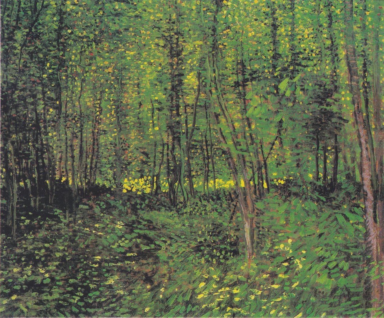 Alberi e sottobosco da Vincent van Gogh