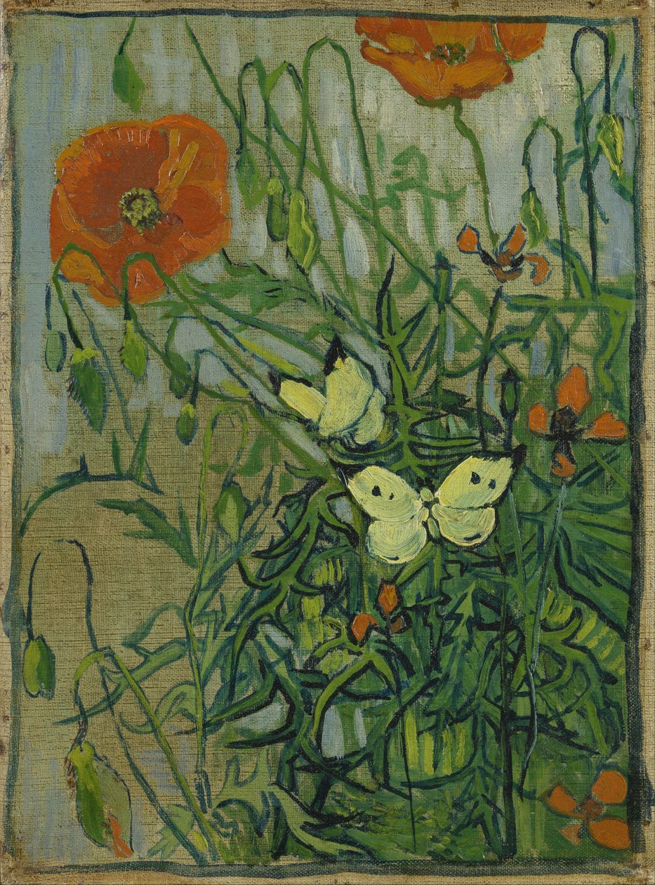 Farfalle e papaveri da Vincent van Gogh