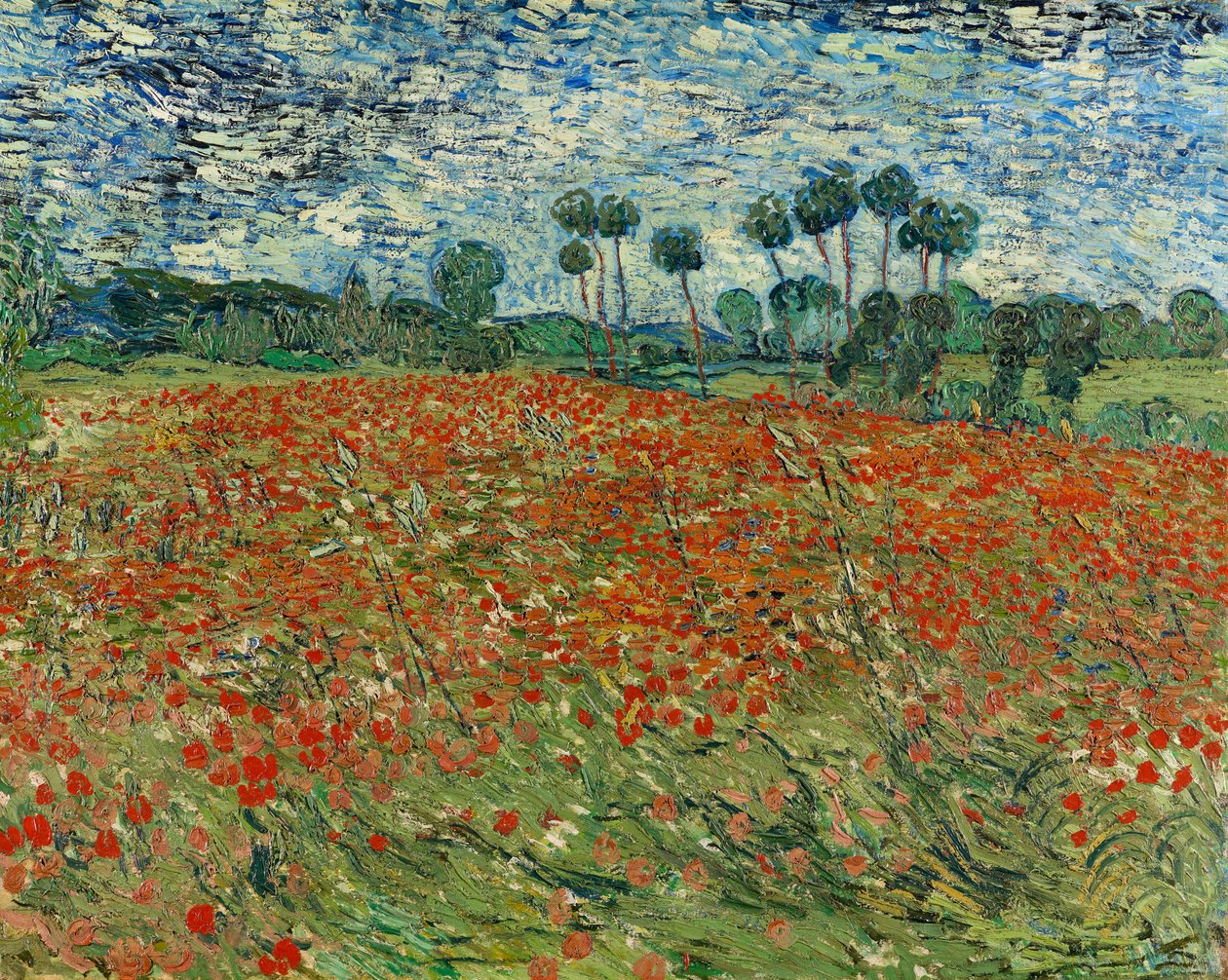 Campo di papaveri, Auvers-sur-Oise, 1890 da Vincent van Gogh