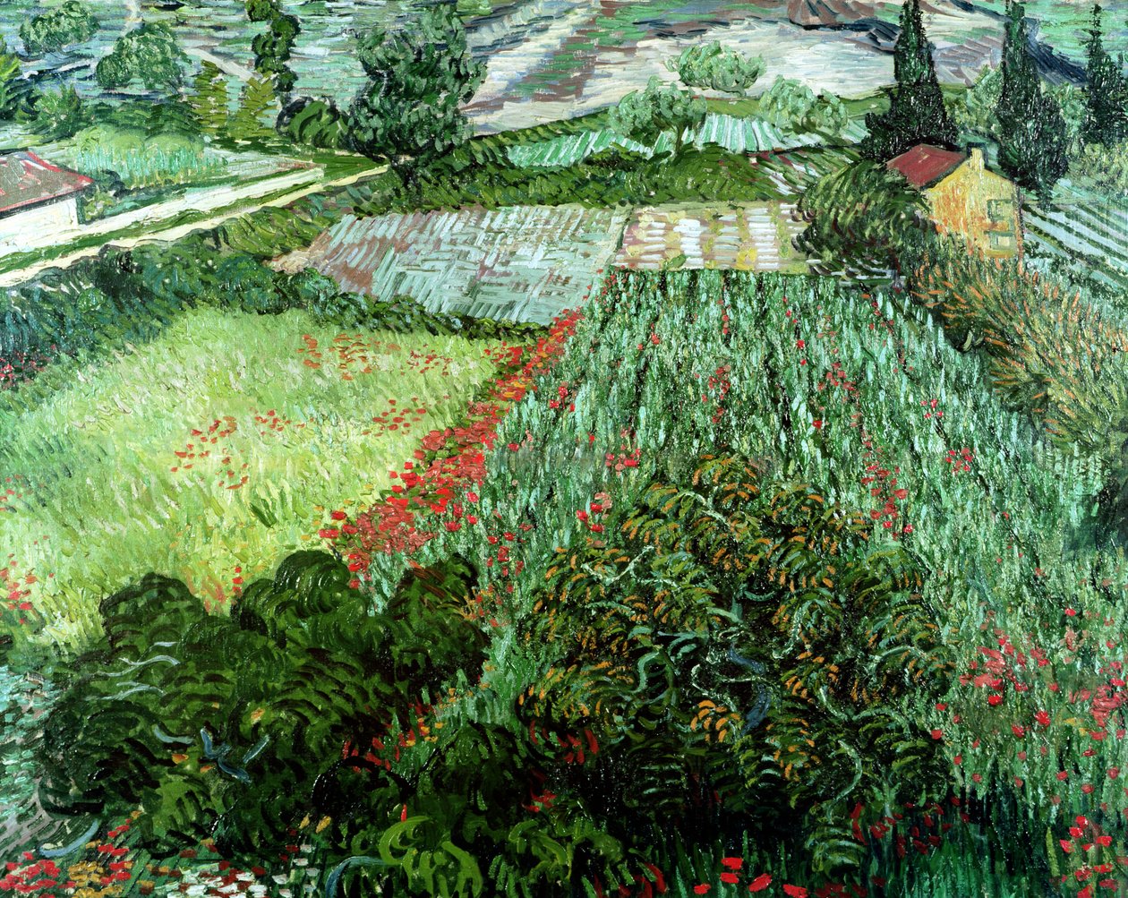 Campo con papaveri, 1889 da Vincent van Gogh