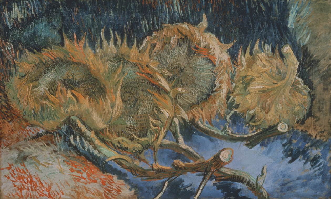 Quattro girasoli appassiti, 1887 da Vincent van Gogh