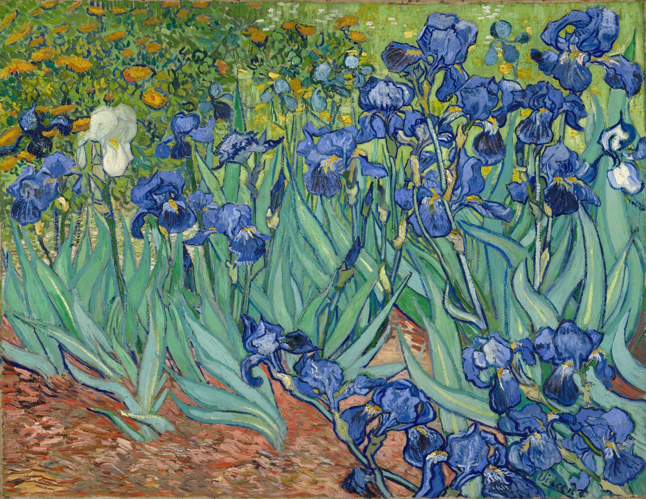 Iris da Vincent van Gogh