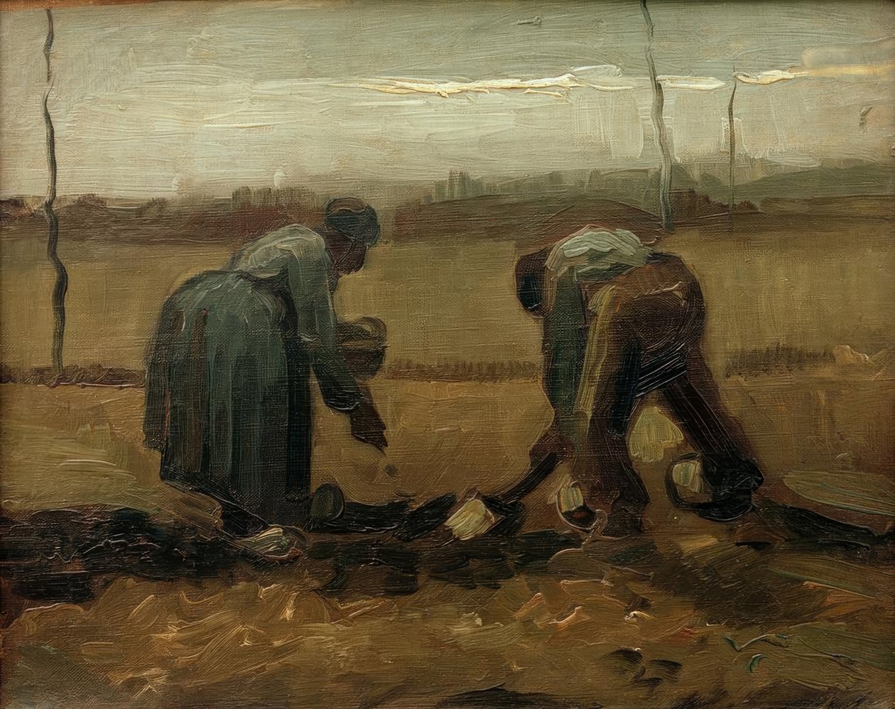 Piantagione di patate da Vincent van Gogh