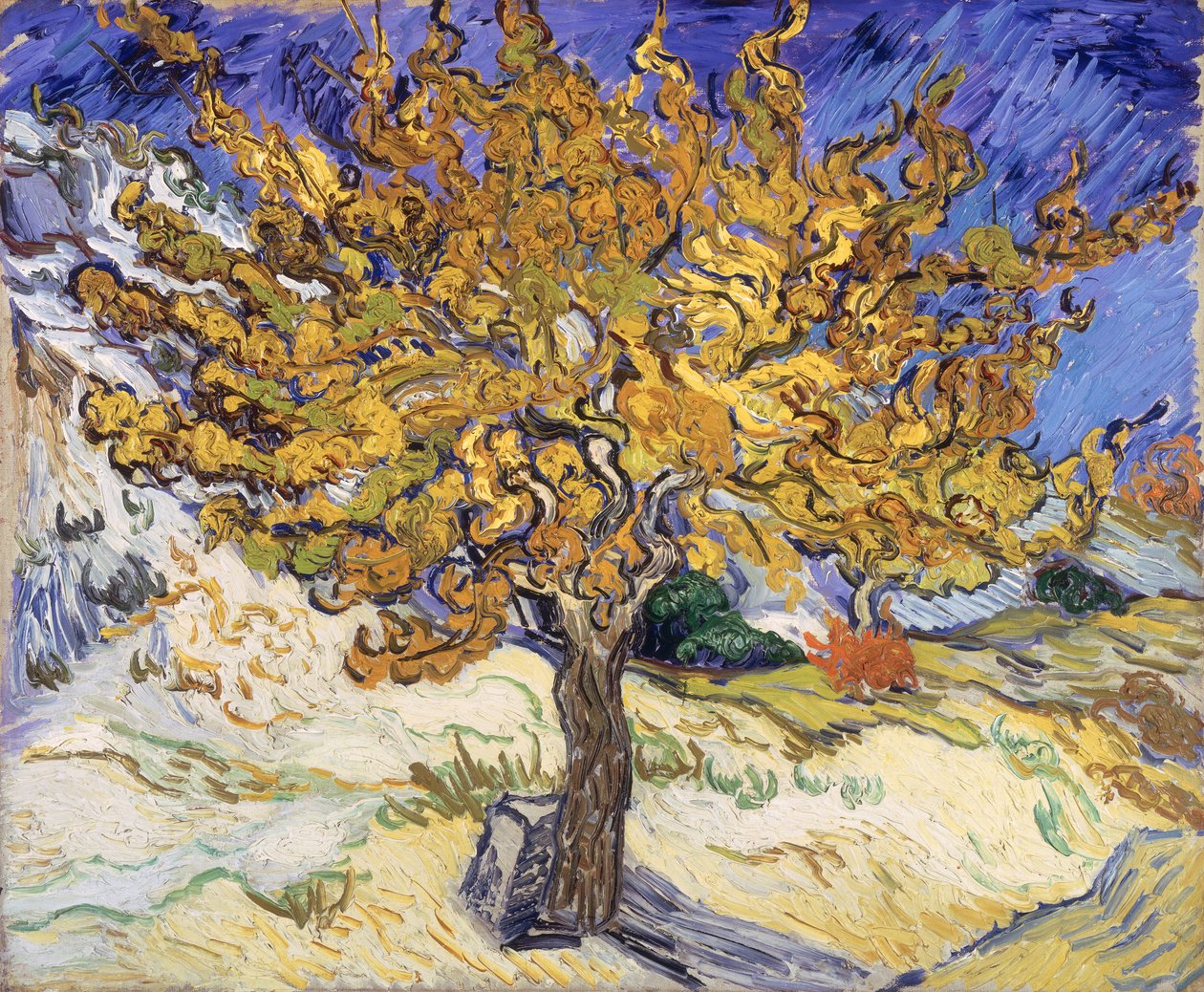 Albero di gelso, 1889 da Vincent van Gogh