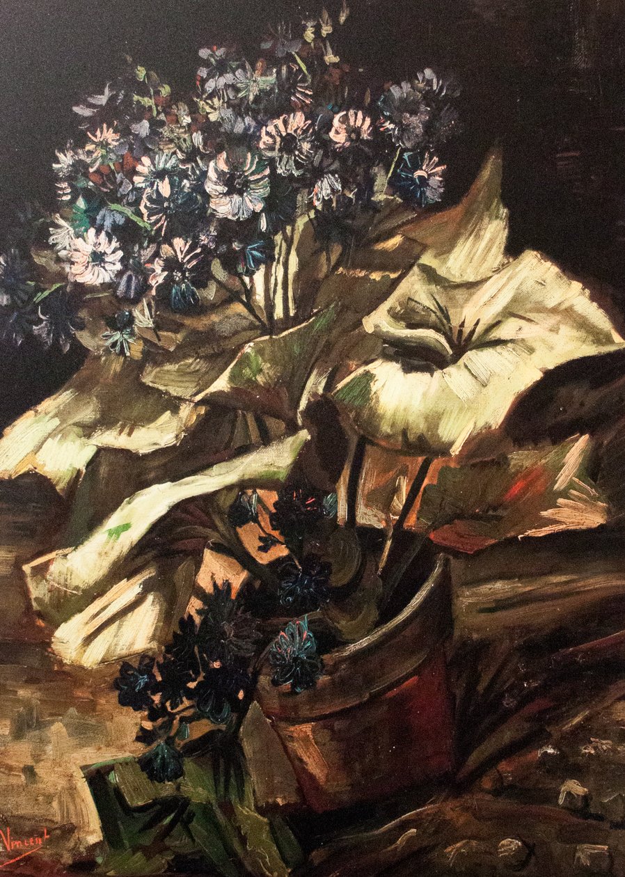 Il mio sogno da Vincent van Gogh