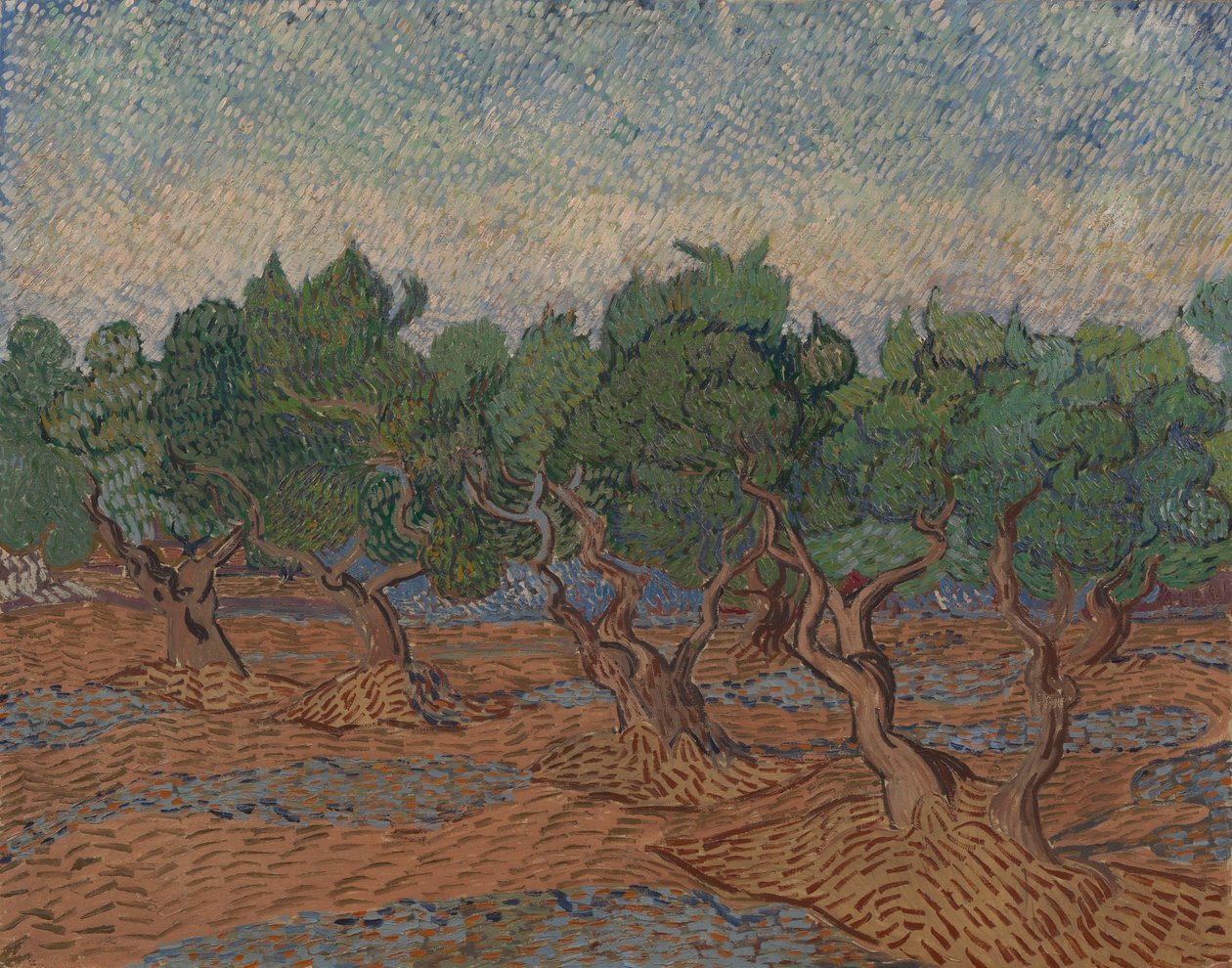 Uliveto da Vincent van Gogh