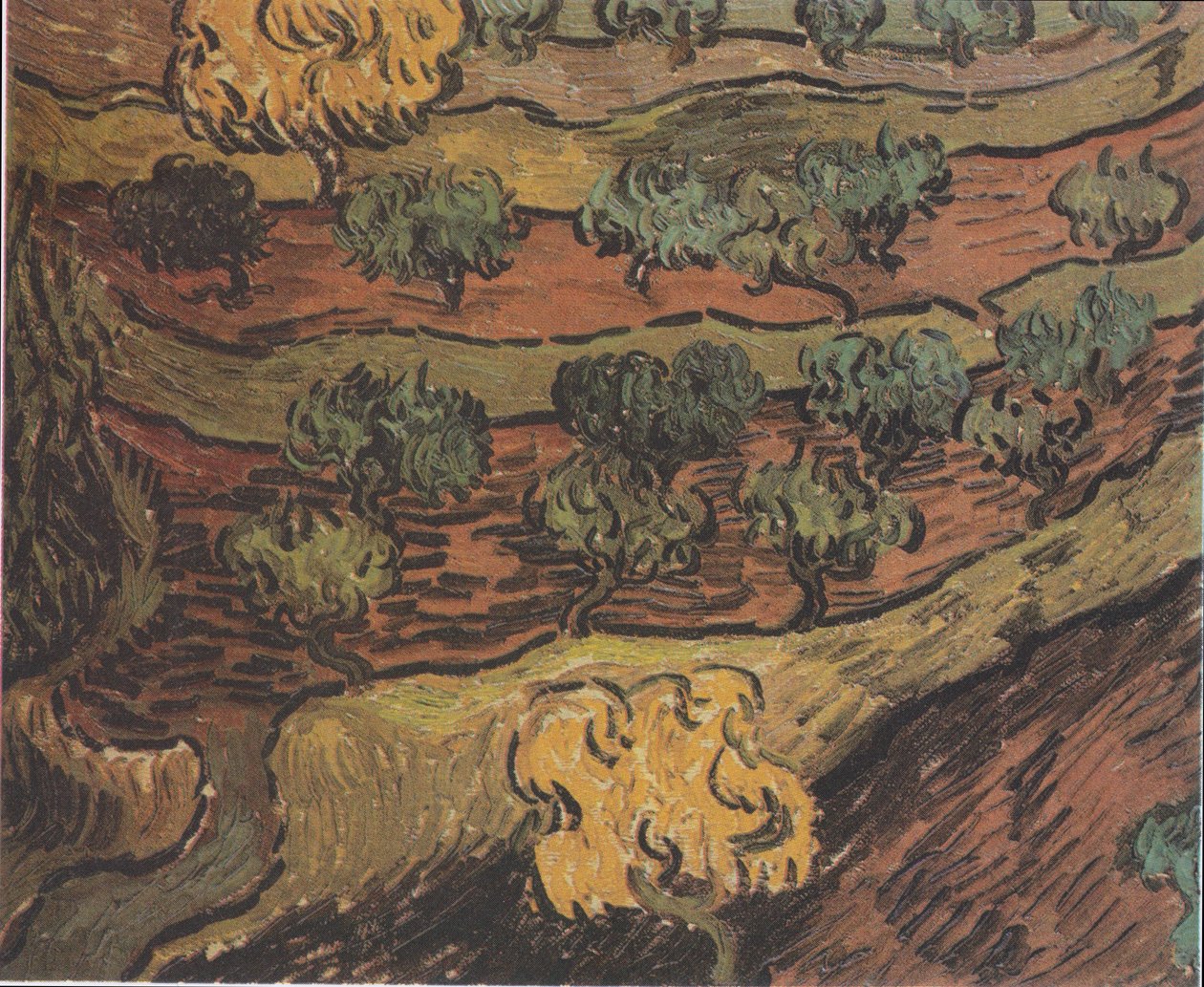 Ulivi su una collina da Vincent van Gogh