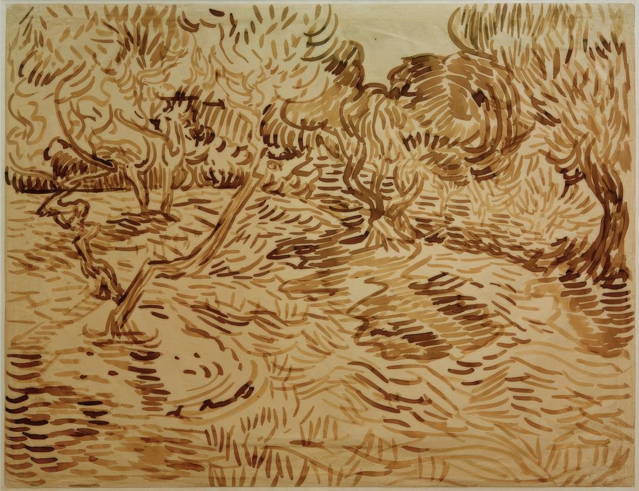 Uliveto da Vincent van Gogh