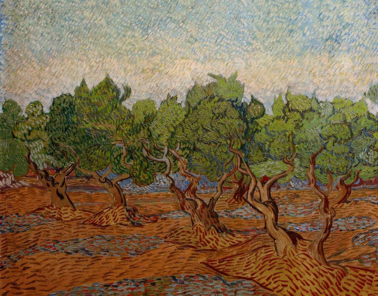 Uliveto da Vincent van Gogh