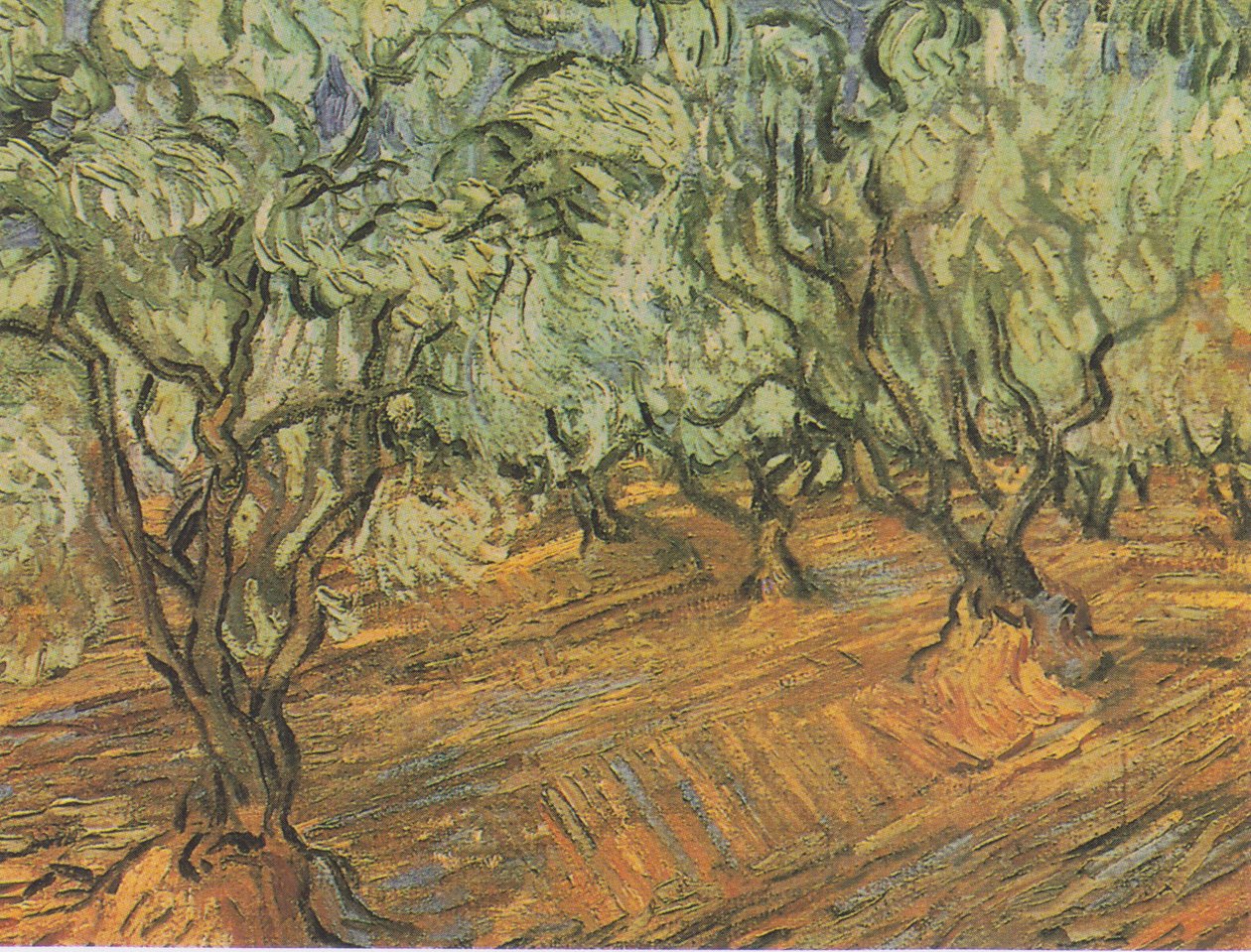 Ulivi con cielo blu da Vincent van Gogh