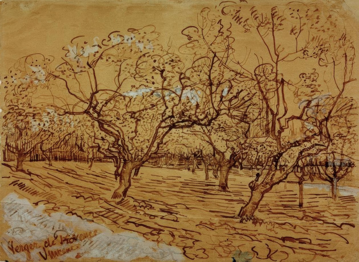 Frutteto provenzale da Vincent van Gogh