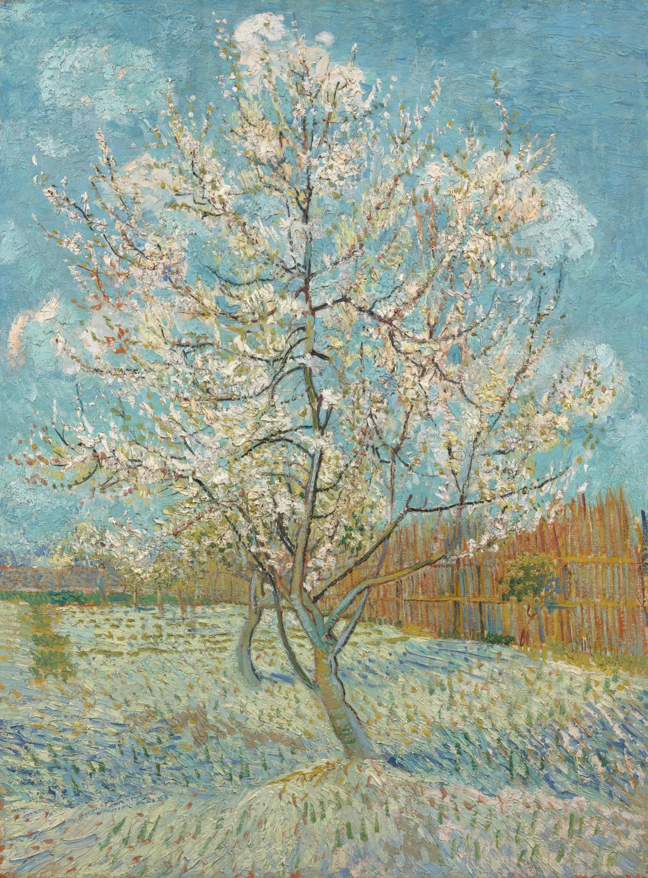 Il Pesco Rosa, 1888 da Vincent van Gogh