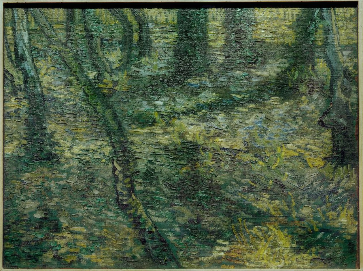 Sottobosco con edera da Vincent van Gogh