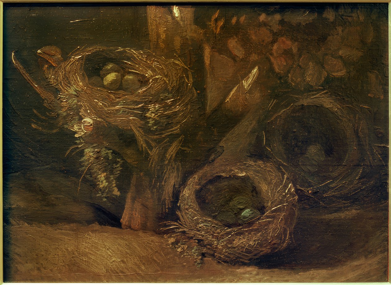 Nidi di uccelli da Vincent van Gogh