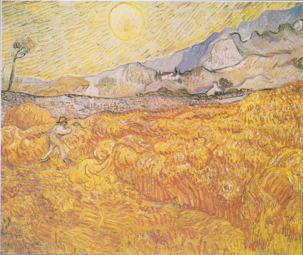 Campo di grano dietro l