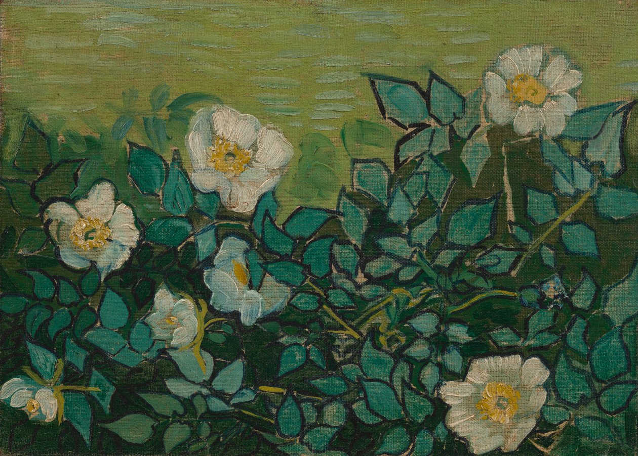 Rose selvatiche da Vincent van Gogh