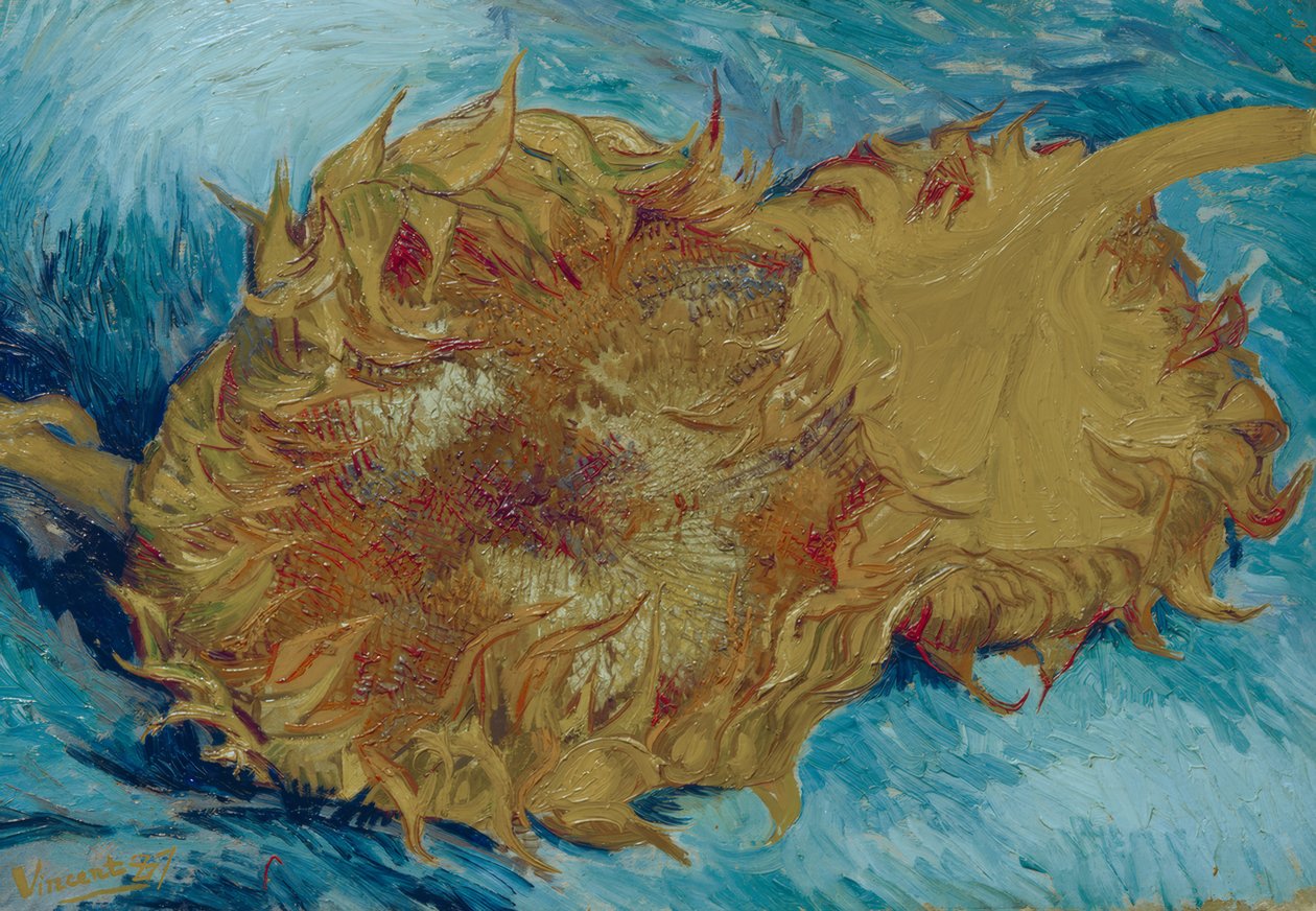 Due girasoli recisi da Vincent van Gogh