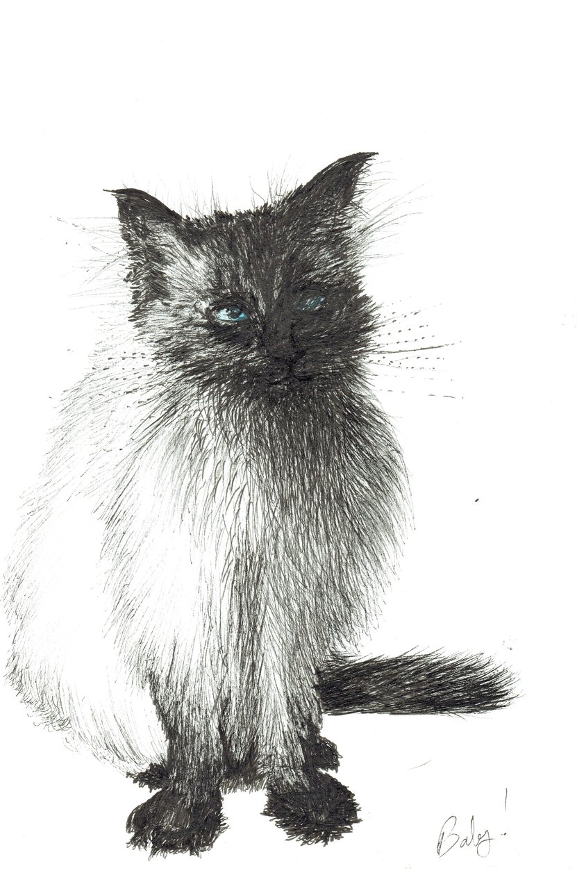 Bambino, 2004 da Vincent Alexander Booth