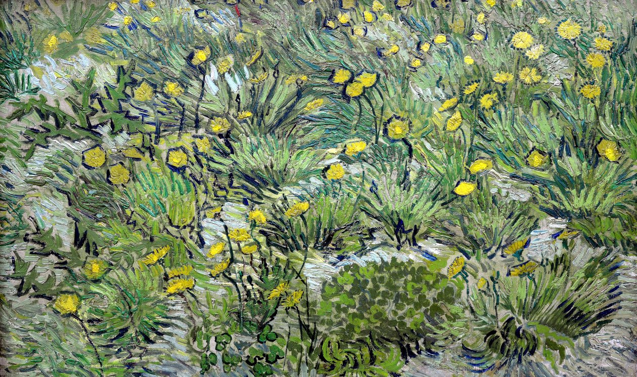 I Denti di Leone da Vincent van Gogh
