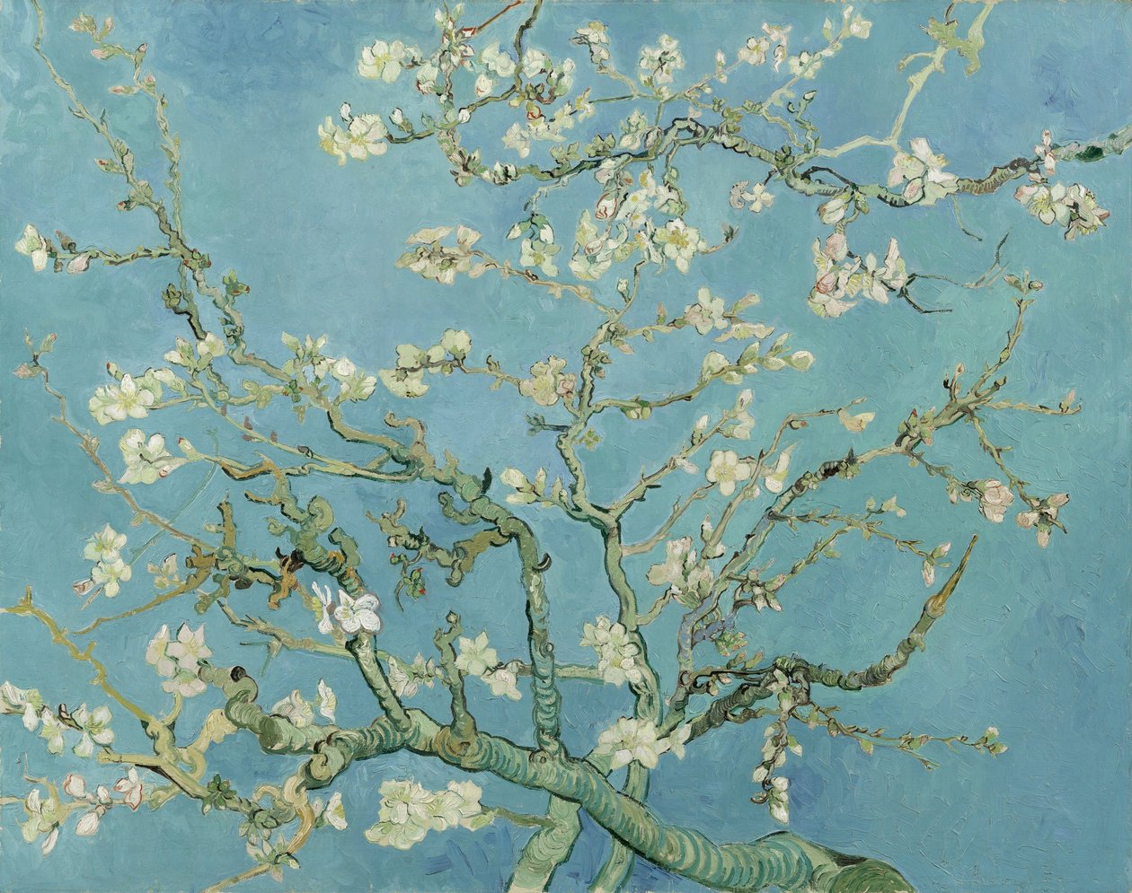 Fioritura di mandorlo da Vincent van Gogh