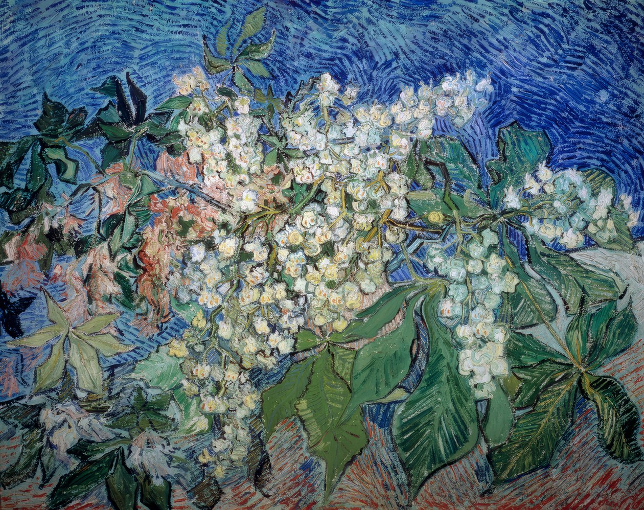 Rami di castagno in fiore da Vincent van Gogh