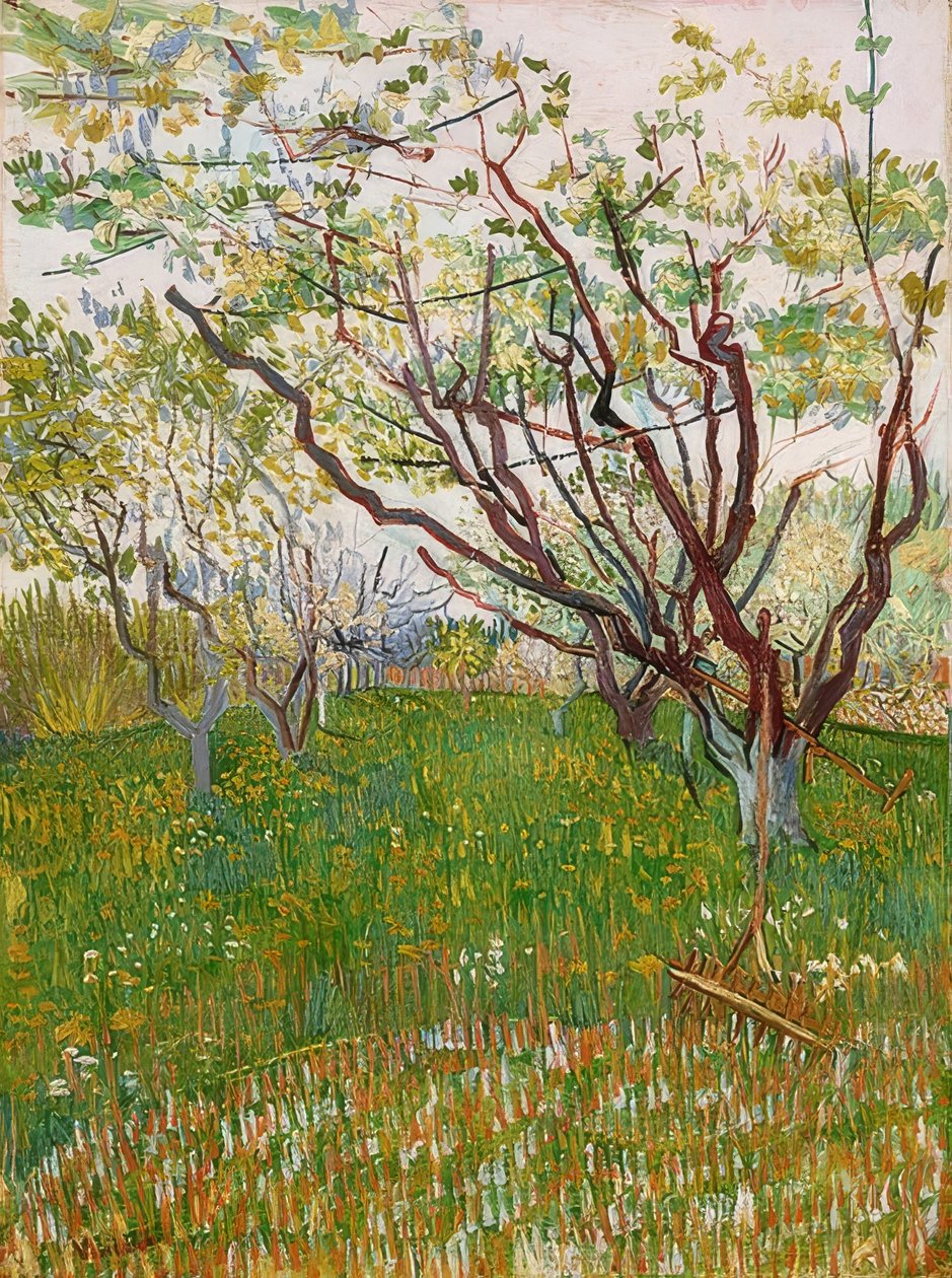 Frutteto in fiore da Vincent van Gogh