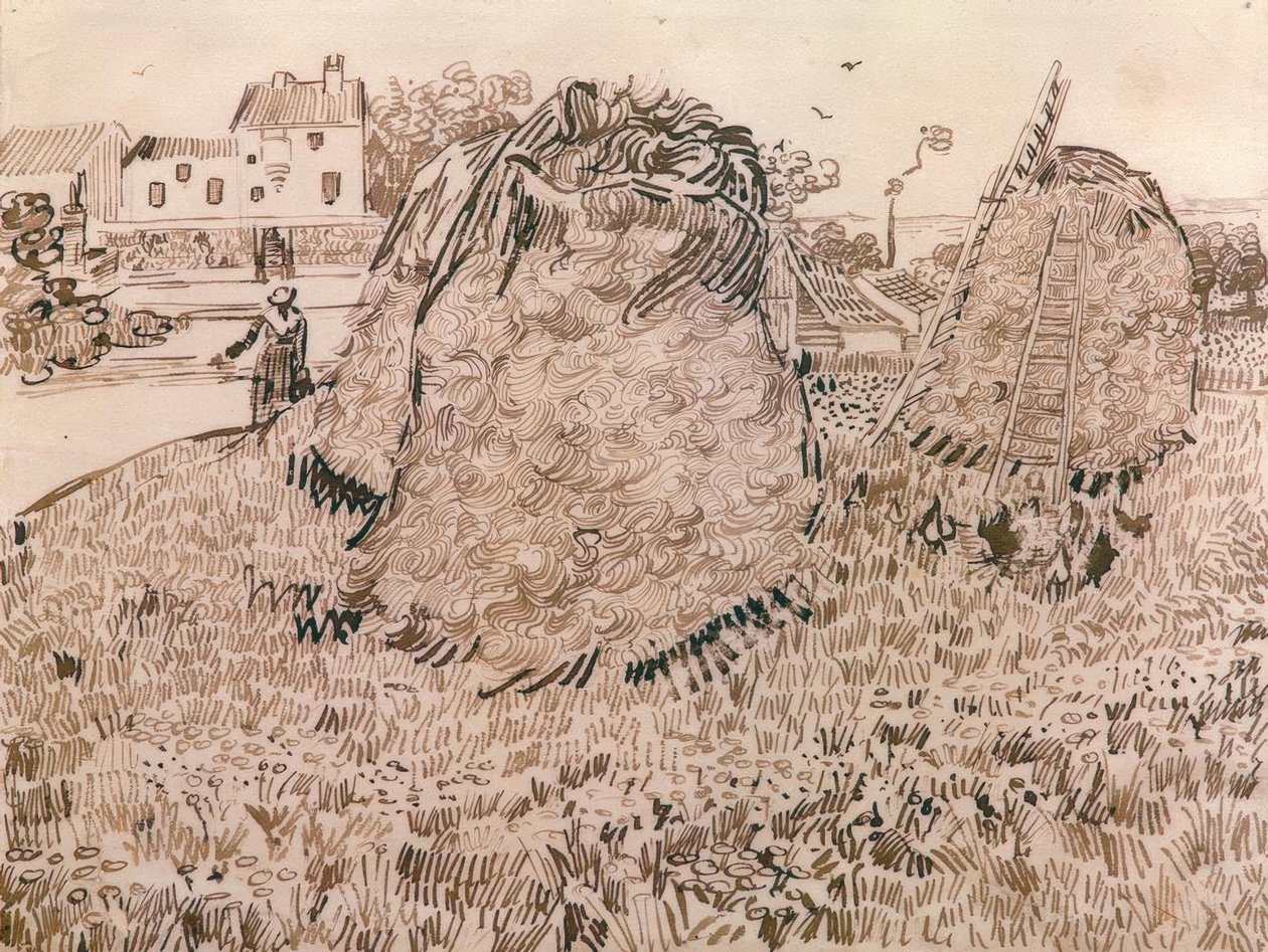 I covoni da Vincent van Gogh