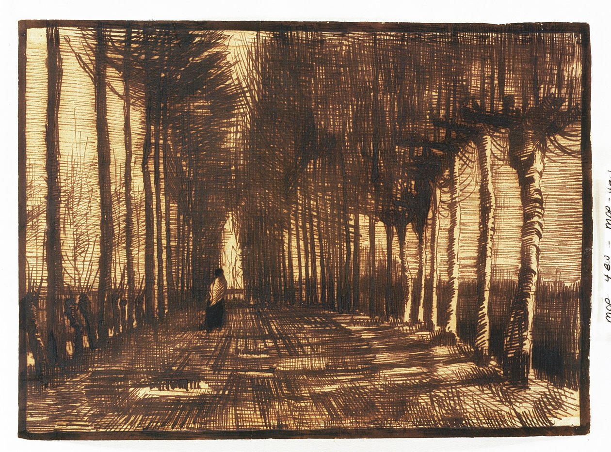 Figura su una Strada, 1884 da Vincent van Gogh