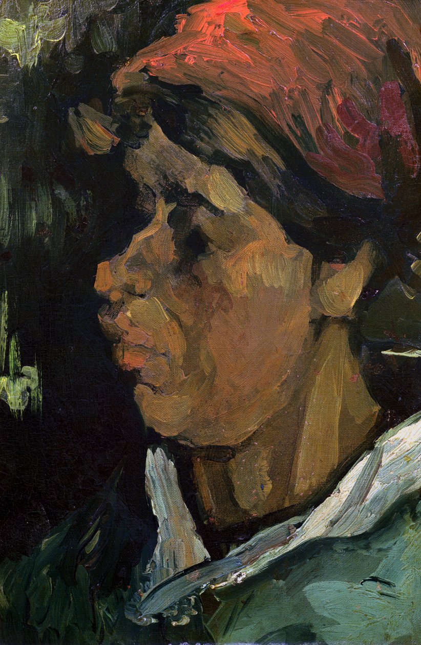 Testa di un contadino olandese, 1884 da Vincent van Gogh