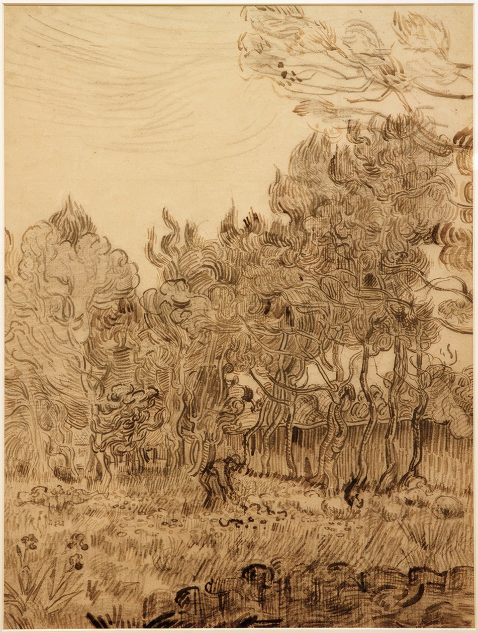 Nel parco del sanatorio da Vincent van Gogh